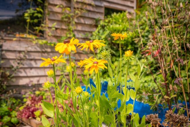 9_keveral_Gardens-35.jpg