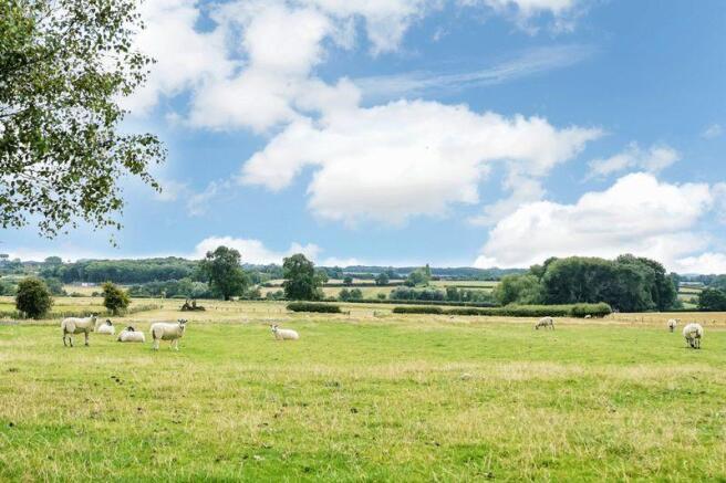 Countryside Views