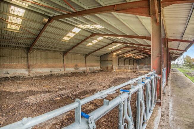 cattle shed