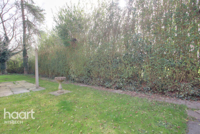 Photo 24