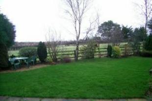 View from the Lounge