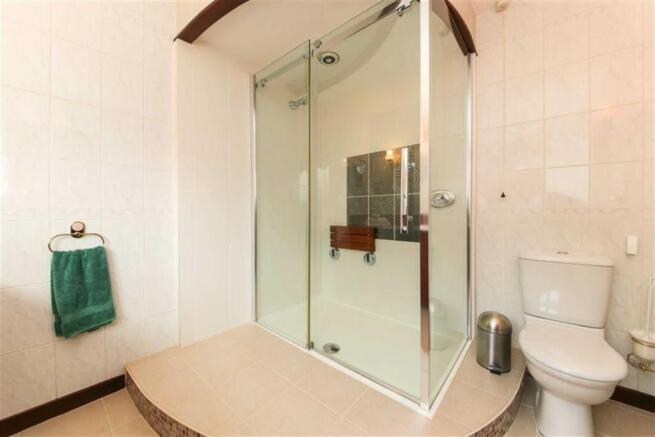 Large En-Suite Shower Room