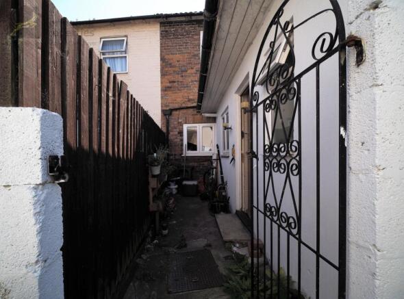 IMAGE 11