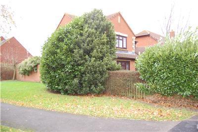 Side view