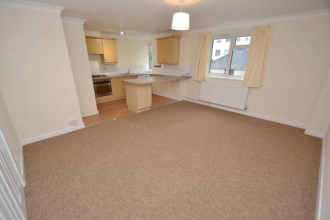 Living Kitchen Area