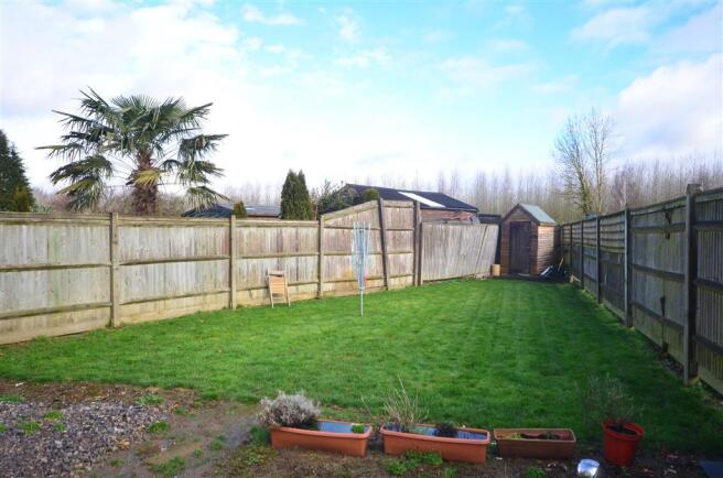 Rear Garden (Original)