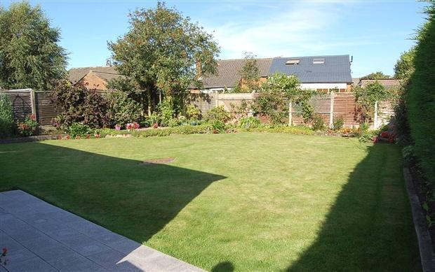 garden view 1