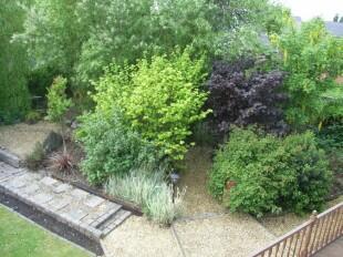 Rear Garden 2