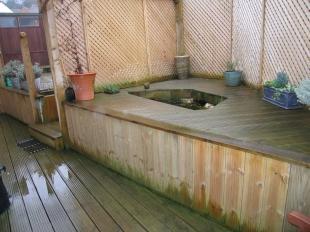Rear Garden 2