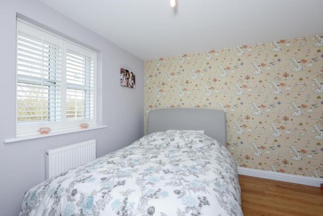 Photos