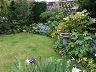 Photo 15