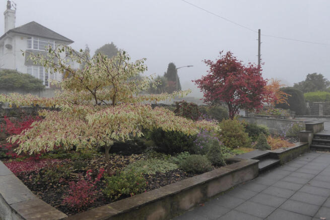 Rear Garden in Au...