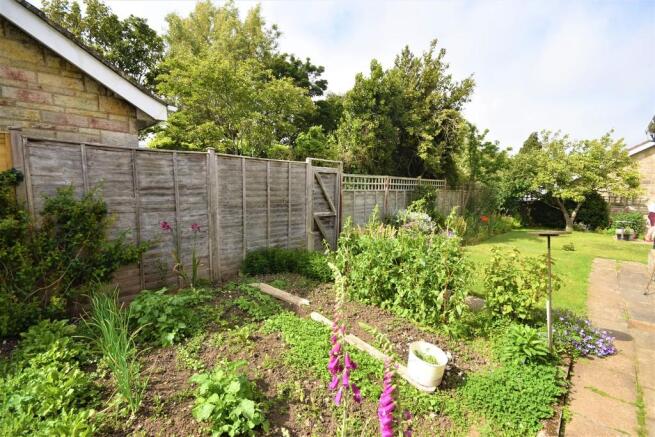 Garden 3