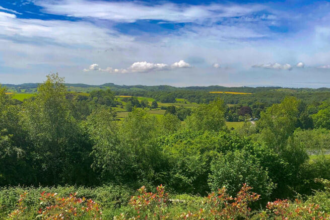 View from Bedroom...
