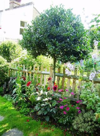 Photo 27