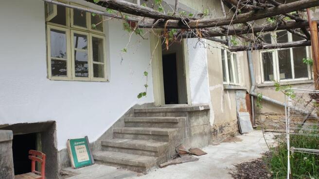 Concrete steps provide access to the house with windows and grapevine trellis visible.