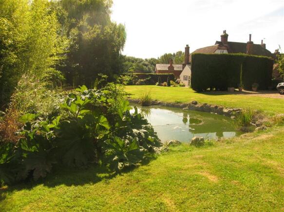 New Pond Shot