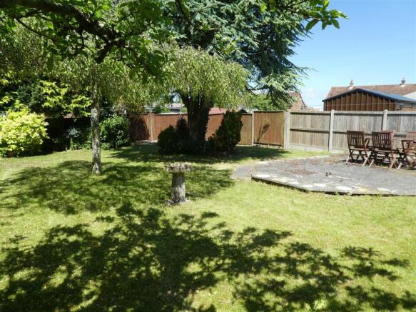 new garden 2.JPG