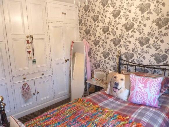 Photo 10