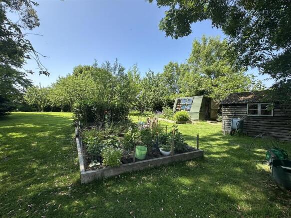 Vegetable Garden