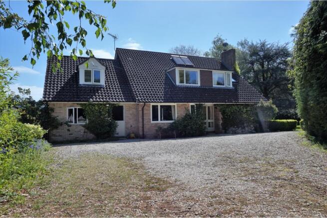 The Property
