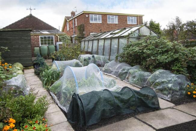 pic-veg-garden-3008.jpg