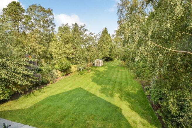 garden 1.JPG