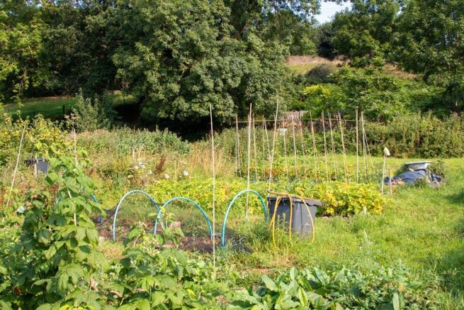 Veg Plot.jpg