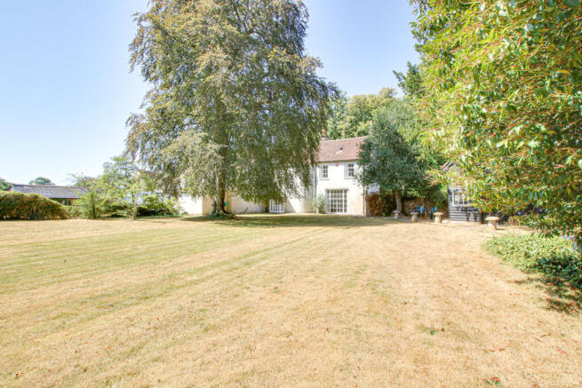 Rear  Aspect
