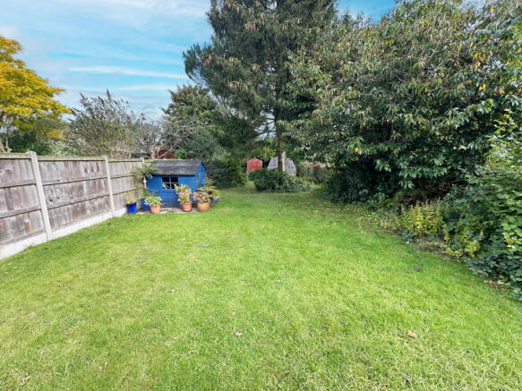 Photo 15