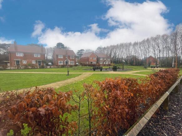 New Front View 15/01