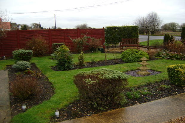 Photo 12