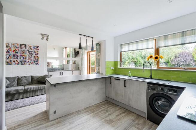 ROSE BUSHES, 63 (10).jpg