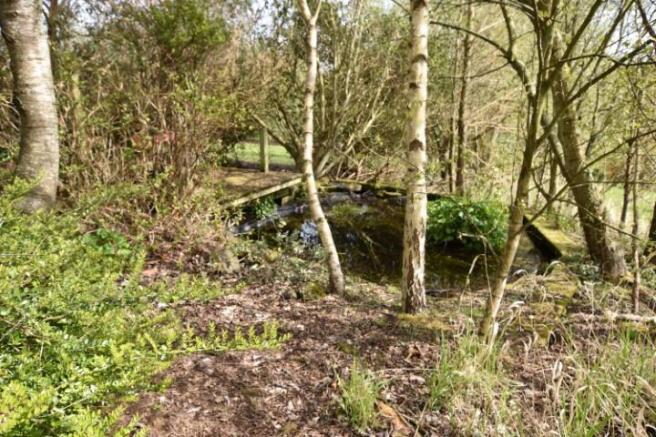Lower Pond (Small).JPG