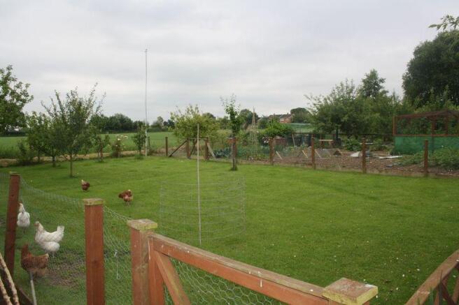 Garden 2