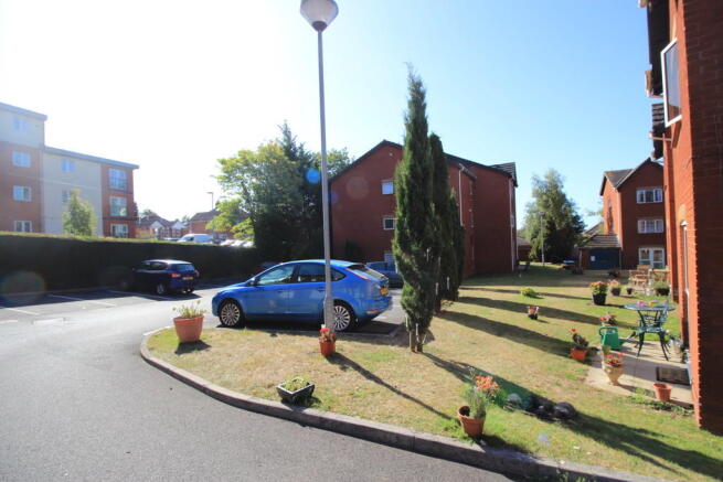 Photo 8