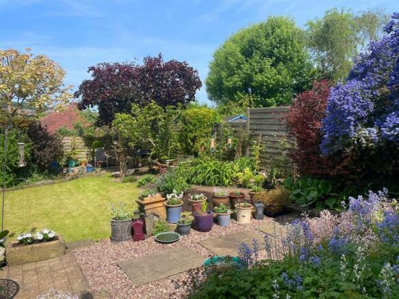 IMG_3276.jpg