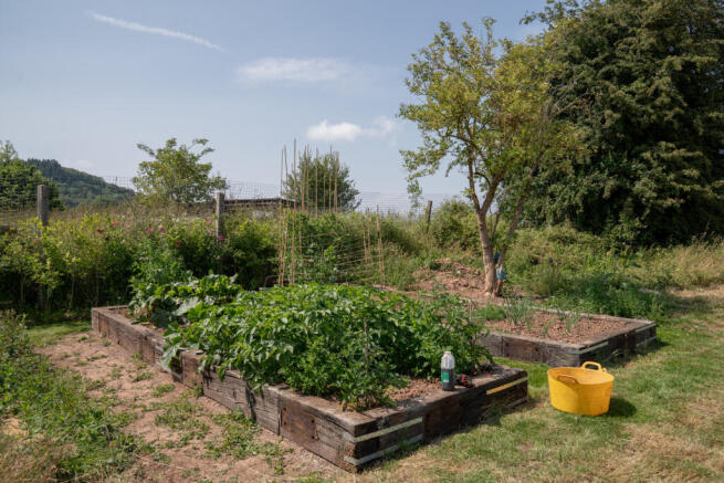 293293 - _A745803.jpg