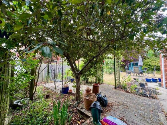 Garden (4)