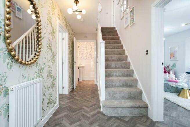 Showhome Photography