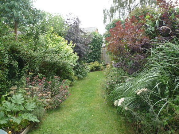 Photo 15