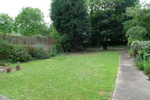 Shared Garden
