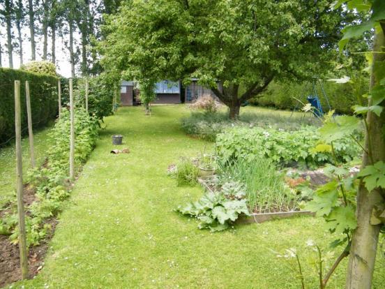 Vegetable Garden