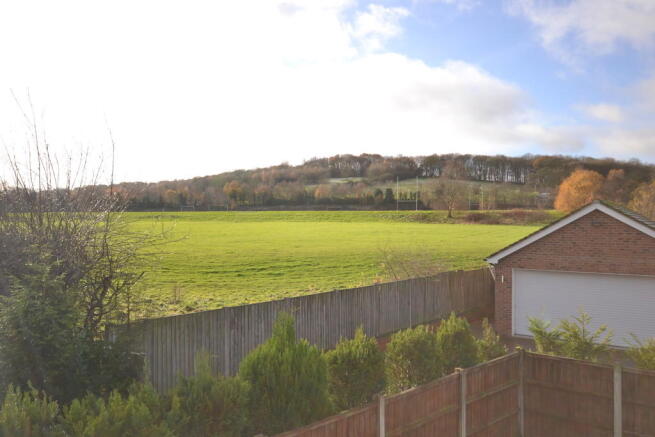 View from the rea...