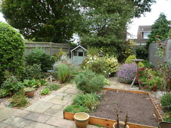 Photo 11