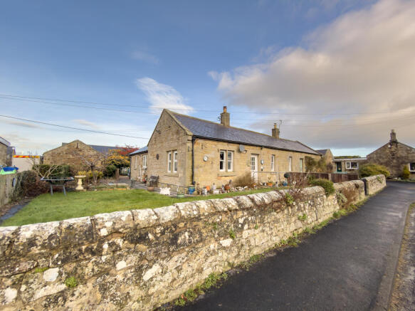 IMG 0424 T202601141957.jpg