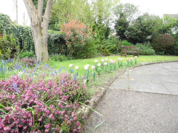 Photo 12