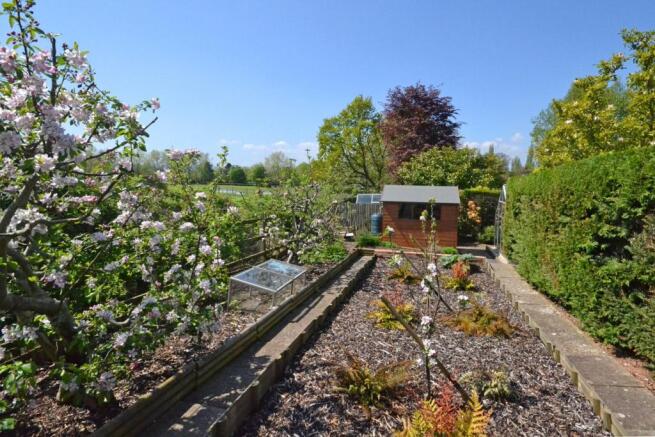 Orchard