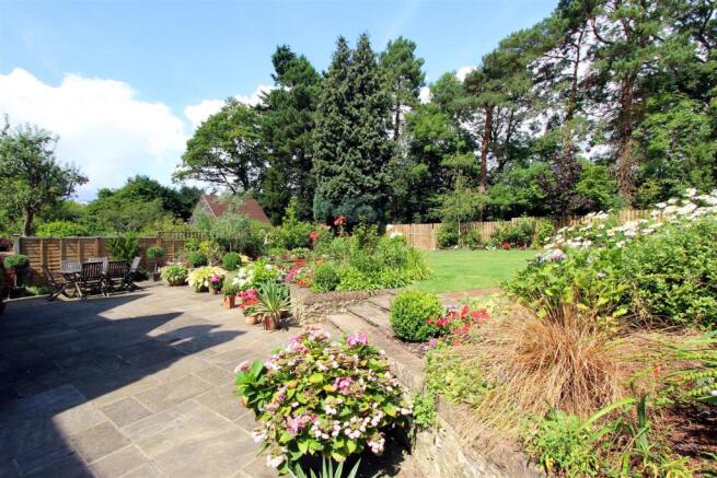 Garden.JPG