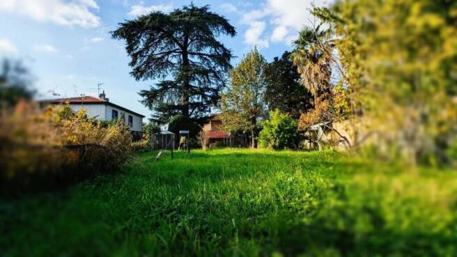 jardin latéral